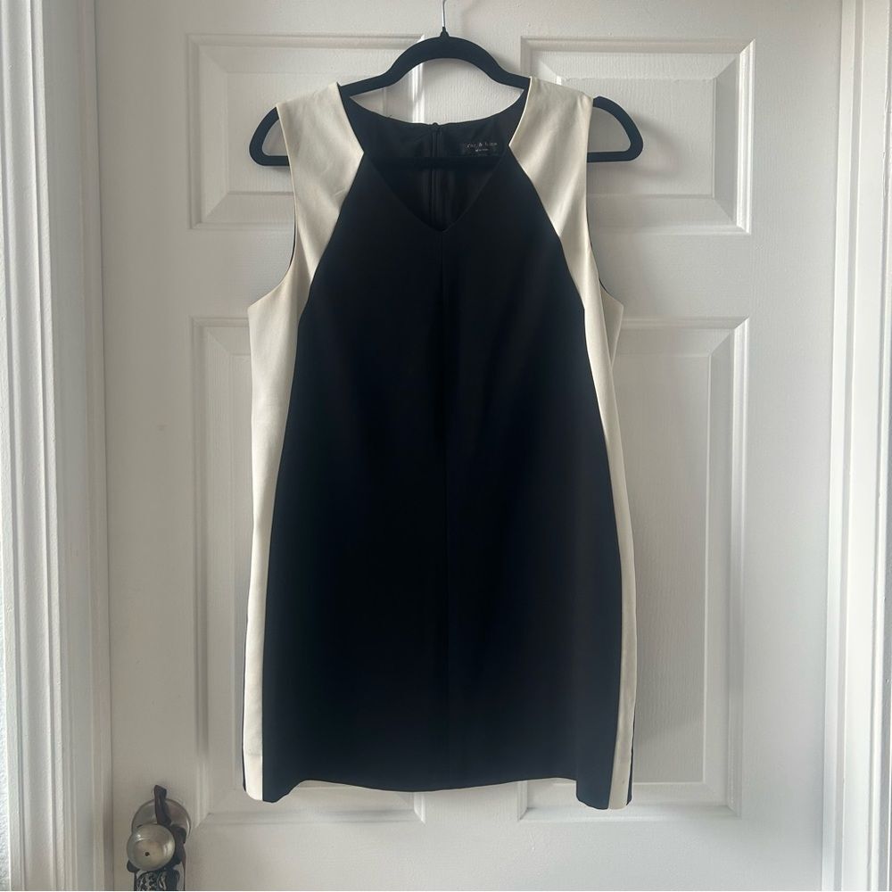 Rag & Bone Black and White Side Panel Dress V Neck